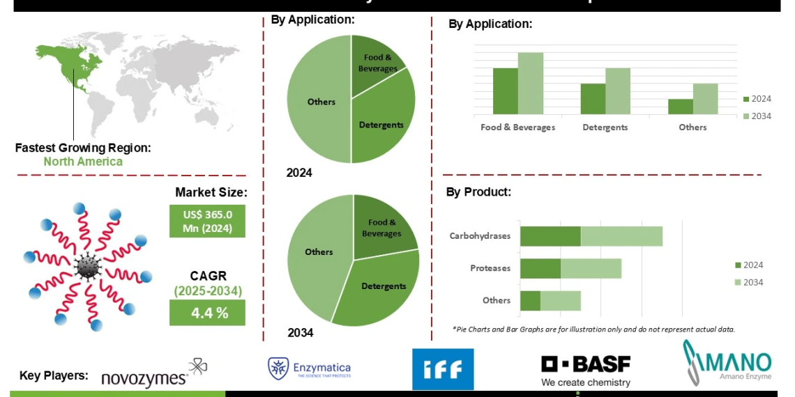 Cold-active Enzymes Market Analysis Driving Sustainability in Food and Detergent Industries