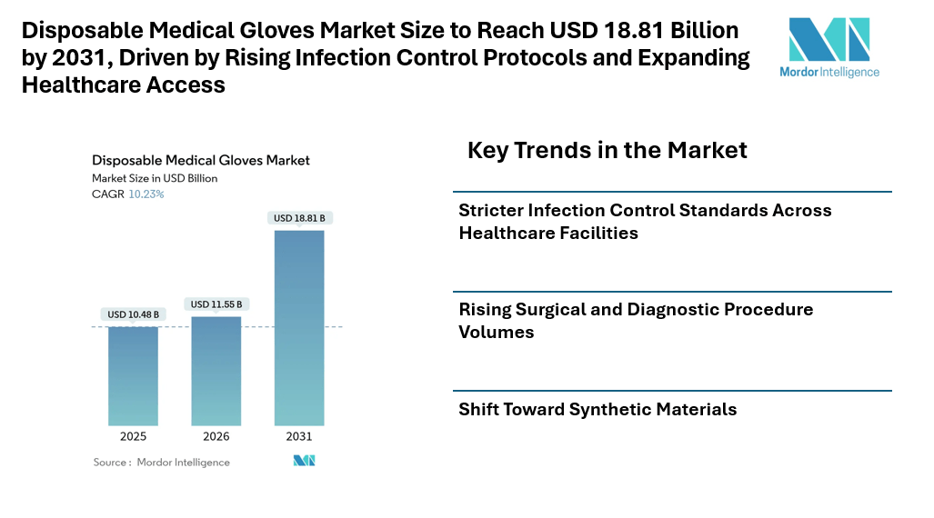 Disposable Medical Gloves Market Size to Reach USD 18.81 Billion by 2031, Driven by Rising Infection Control Protocols and Expanding Healthcare Access
