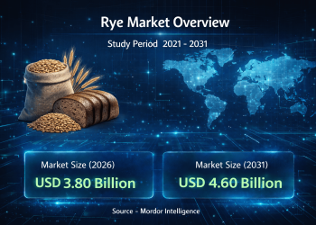 Rye Market Size to Reach USD 4.60 Billion by 2031 – Says, Mordor Intelligence