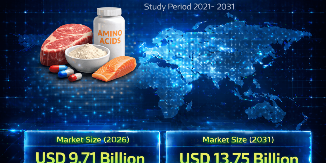 Food Amino Acids Market Size to Reach USD 13.75 Billion by 2031: Growth Driven by Functional Nutrition and Plant-Based Demand